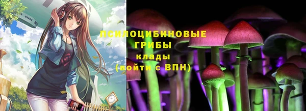 кокс Аркадак