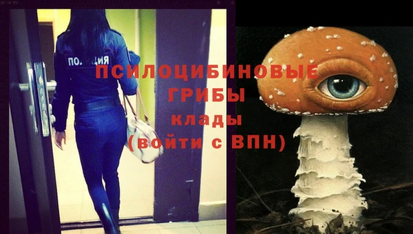 хмурый Армянск