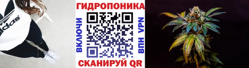 МАРИХУАНА OG Kush Красный Кут